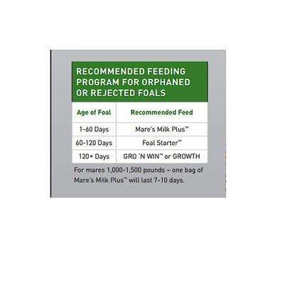 Show full view: Buckeye Nutrition Mare's Milk Plus Milk Replacer Powder Horse Supplement, 40-lb bag slide 8 of 10