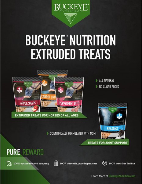 Buckeye Peppermint Nutrition Horse Treats, 1 Lb