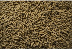 Buckeye Nutrition Senior Balancer Joint Support Senior Horse Feed, 50-lb bag slide 2 of 5