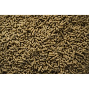 Buckeye Nutrition Senior Balancer Joint Support Senior Horse Feed, 50-lb bag