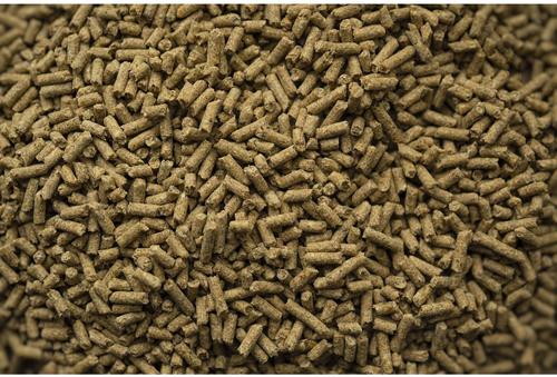 Show full view: Buckeye Nutrition Senior Balancer Joint Support Senior Horse Feed, 50-lb bag slide 3 of 6