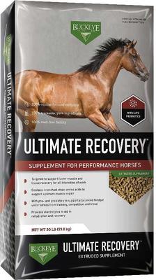 Show full view: Buckeye Nutrition Ultimate Recovery Extruded Performance Pellets Supplement + All-Natural Carrot Horse Treats slide 2 of 7