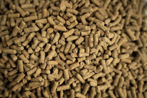 Show full view: Buckeye Nutrition Ultimate Recovery Extruded Performance Pellets Supplement + All-Natural Carrot Horse Treats slide 3 of 7