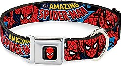 Buckle-Down Amazing Spider-Man Dog Collar, Medium