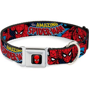 Buckle-Down Amazing Spider-Man Dog Collar, Medium
