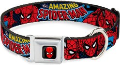 Buckle-Down Amazing Spider-Man Dog Collar, Wide-Large