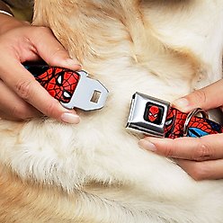 Buckle-Down Amazing Spider-Man Dog Collar, Wide-Large slide 2 of 9