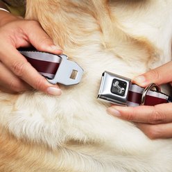 Buckle-Down American Flag Dog Collar, Wide-Small slide 2 of 9
