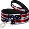 Show in main carousel: Buckle-Down American Flag Vivid Dog Leash slide 1 of 4