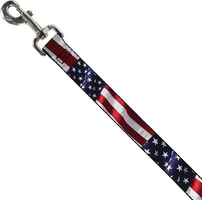 Show full view: Buckle-Down American Flag Vivid Dog Leash slide 2 of 4
