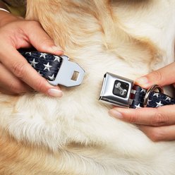 Buckle-Down Americana Rustic Stars & Stripes Dog Collar, Small slide 2 of 9