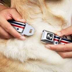 Buckle-Down Americana Stars & Stripes 1 Dog Collar, Wide-Large slide 2 of 9