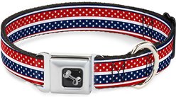 Buckle-Down Americana Stripe Dog Collar, Wide-Medium