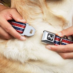 Buckle-Down Americana Stripe Dog Collar, Wide-Medium slide 2 of 9
