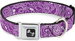 Buckle-Down Bandana Skulls Dog Collar, Purple, Large