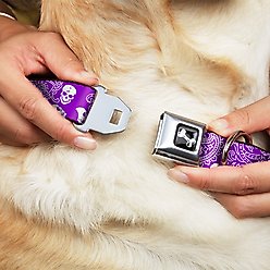 Buckle-Down Bandana Skulls Dog Collar, Purple, Large slide 2 of 9