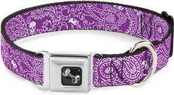 Buckle-Down Bandana Skulls Dog Collar, Purple, Wide-Medium