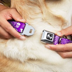 Buckle-Down Bandana Skulls Dog Collar, Purple, Wide-Medium slide 2 of 9