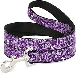 Buckle-Down Bandana Skulls Dog Leash, Purple