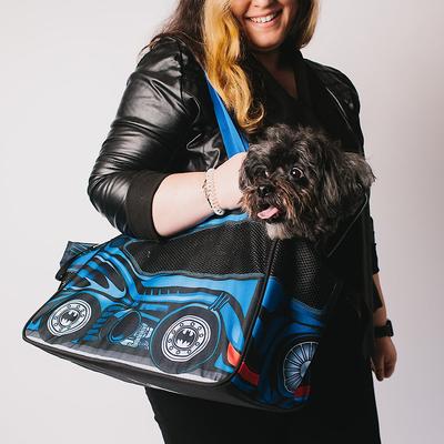 Show full view: Buckle-Down Batman Bat Mobile Dog & Cat Carrier slide 8 of 9