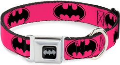 Buckle-Down Batman Bat Signal Polyester Dog Collar, Large: 15 to 26-in neck, 1-in wide