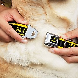 Buckle-Down Batman Logo Polyester Dog Collar, Small: 9 to 15-in neck, 1-in wide slide 2 of 9