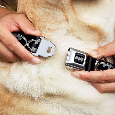 Show full view: Buckle-Down Batman Shield Polyester Dog Collar, Large Wide: 20 to 31-in neck, 1.5-in wide slide 3 of 11