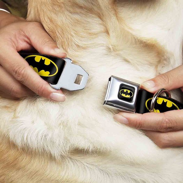 Buckle-Down Batman Shield Seatbelt Buckle Dog Collar