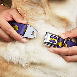 Buckle-Down Batman Signal Polyester Dog Collar, Medium Wide: 16 to 23-in neck, 1.5-in wide slide 2 of 9
