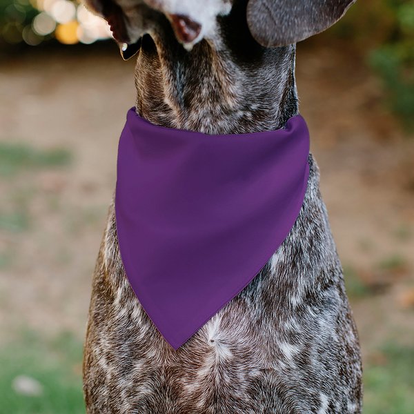 Dog Bandana Co. Halloween Cookie Dog Bandana, Purple