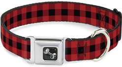 Buckle-Down Bone Buffalo Polyester Dog Collar, Medium: 11 to 16.5-in neck, 1-in wide
