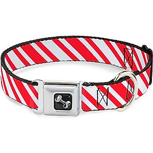 Buckle-Down Candy Cane 1 Dog Collar, Medium