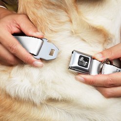 Buckle-Down Candy Cane Dog Collar, Wide-Medium slide 2 of 9