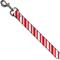 Show in main carousel: Buckle-Down Candy Cane Stripe Dog Leash slide 3 of 5
