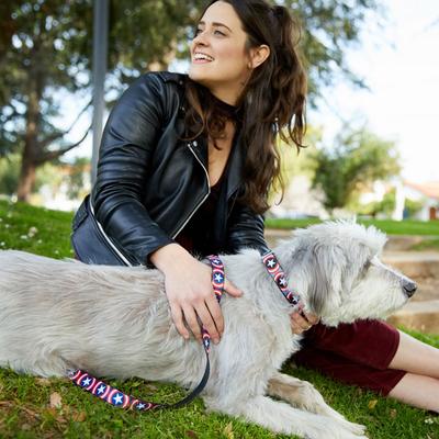 Show full view: Buckle-Down Captain America Shield Dog Leash slide 3 of 5