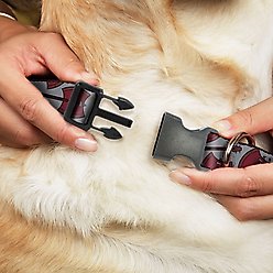Buckle-Down Cartoon Network Adventure Time Marceline's Axe Bass Guitar Scattered Gray Plastic Buckle Polyester Dog Collar, Wide Medium: 16 to 23-in neck, 1.5-in wide slide 2 of 4
