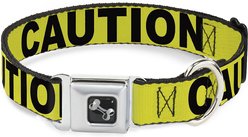 Buckle-Down CAUTION Dog Collar, Wide-Large