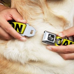 Buckle-Down CAUTION Dog Collar, Wide-Large slide 2 of 9