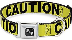 Buckle-Down CAUTION Dog Collar, Wide-Small