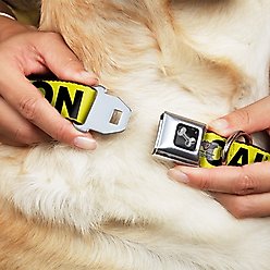Buckle-Down CAUTION Dog Collar, Wide-Small slide 2 of 9