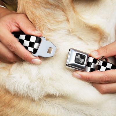 Show full view: Buckle-Down Checker Dog Collar, Medium slide 3 of 11