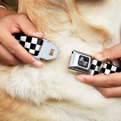Buckle-Down Checker Dog Collar, Small slide 2 of 9
