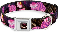 Buckle-Down Cheshire Cat Tree Dog Collar, Medium