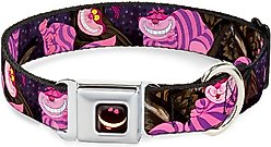 Buckle-Down Cheshire Cat Tree Dog Collar, Wide-Small