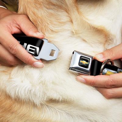 Show full view: Buckle-Down Chevy Bowtie Dog Collar, Large slide 2 of 9