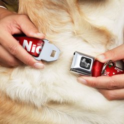 Buckle-Down Christmas NAUGHTY OR NICE Dog Collar, Wide-Small slide 2 of 9