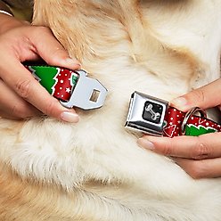 Buckle-Down Christmas Trees Dog Collar, Small slide 2 of 9