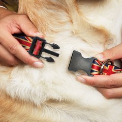 Buckle-Down Country Plastic Clip Polyester Dog Collar, Large: 15 to 26-in neck, 1-in wide, United Kingdom slide 2 of 6