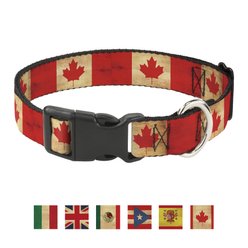 Buckle-Down Country Plastic Clip Polyester Dog Collar, Small: 9 to 15-in neck, 1-in wide, Canada