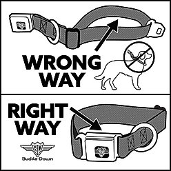 Buckle-Down Crunchyroll Hells Paradise Kanji Title Logo & Gabimaru Face Metal Seatbelt Buckle Polyester Dog Collar, Black/White, Wide Small: 13 to 17-in neck, 1.5-in wide slide 2 of 6